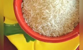 Indian Basmati Rice Secures 5,000-Tonne US Export Deal, Boosting Farmers’ Earnings