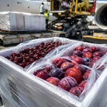 APEDA Facilitates First Export of Premium Kashmir Cherries and Plums to Singapore